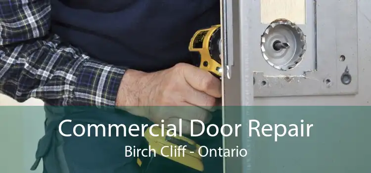 Commercial Door Repair Birch Cliff - Ontario