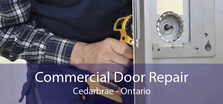 Commercial Door Repair Cedarbrae - Ontario