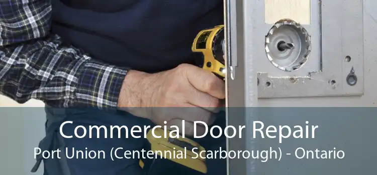 Commercial Door Repair Port Union (Centennial Scarborough) - Ontario