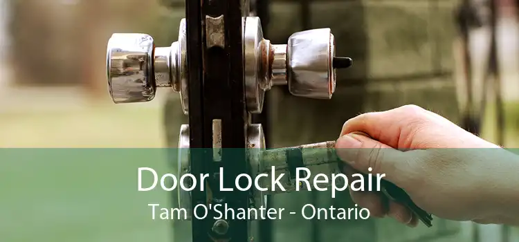 Door Lock Repair Tam O'Shanter - Ontario