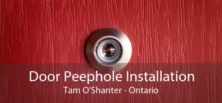 Door Peephole Installation Tam O'Shanter - Ontario