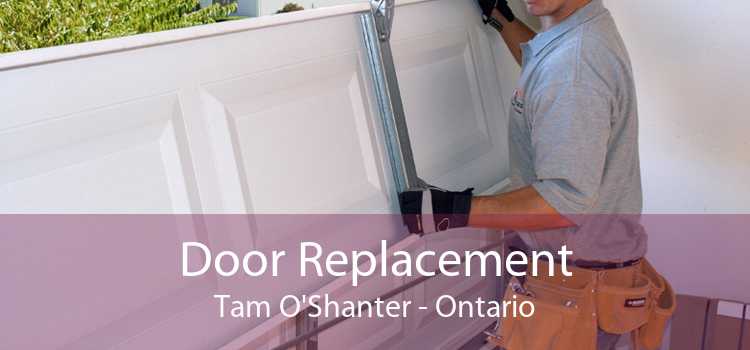 Door Replacement Tam O'Shanter - Ontario