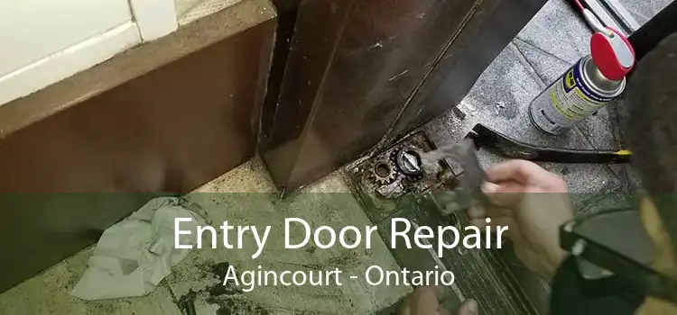 Entry Door Repair Agincourt - Ontario