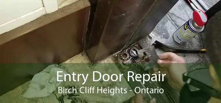 Entry Door Repair Birch Cliff Heights - Ontario