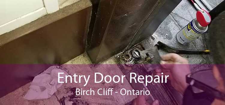 Entry Door Repair Birch Cliff - Ontario