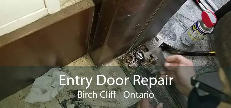Entry Door Repair Birch Cliff - Ontario