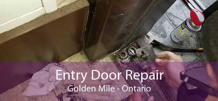 Entry Door Repair Golden Mile - Ontario