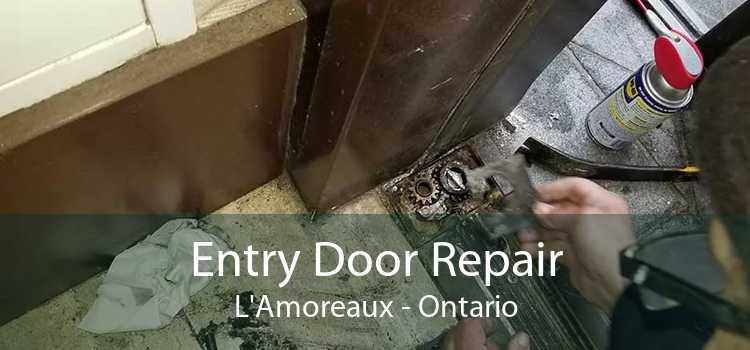 Entry Door Repair L'Amoreaux - Ontario