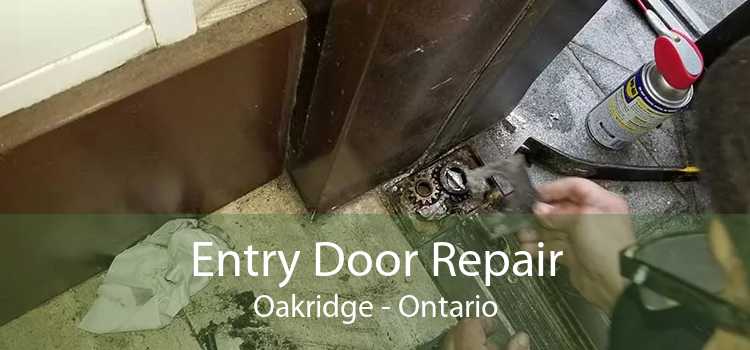 Entry Door Repair Oakridge - Ontario