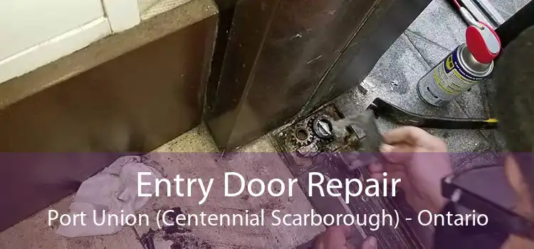 Entry Door Repair Port Union (Centennial Scarborough) - Ontario