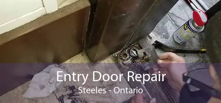Entry Door Repair Steeles - Ontario