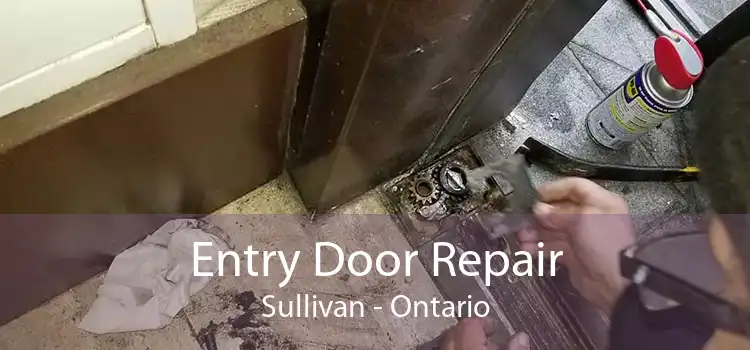 Entry Door Repair Sullivan - Ontario