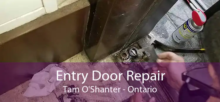 Entry Door Repair Tam O'Shanter - Ontario