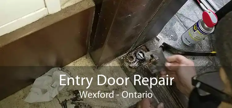 Entry Door Repair Wexford - Ontario