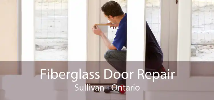 Fiberglass Door Repair Sullivan - Ontario
