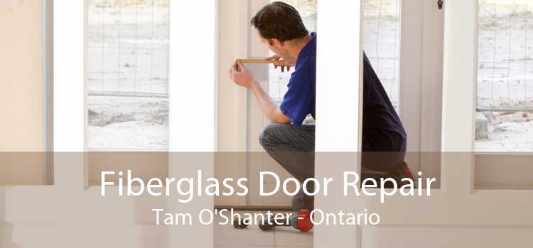 Fiberglass Door Repair Tam O'Shanter - Ontario