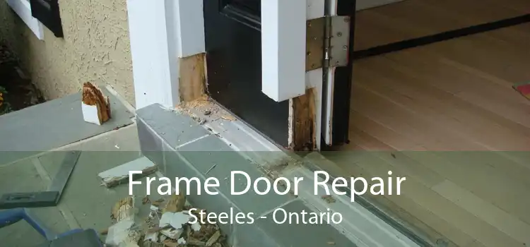Frame Door Repair Steeles - Ontario