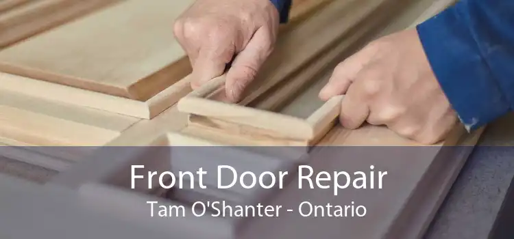 Front Door Repair Tam O'Shanter - Ontario