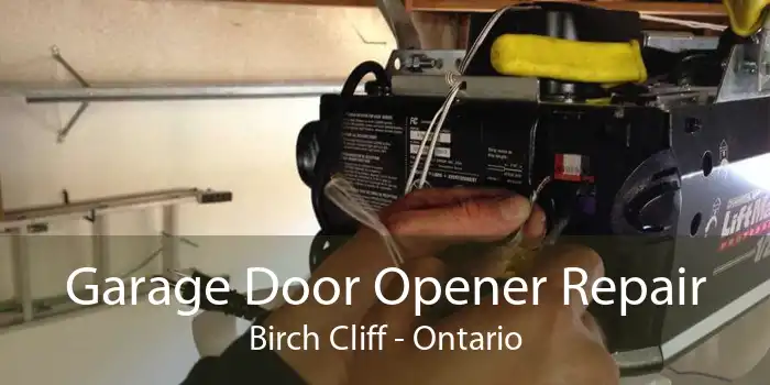 Garage Door Opener Repair Birch Cliff - Ontario