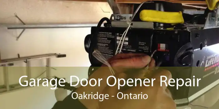 Garage Door Opener Repair Oakridge - Ontario