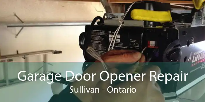 Garage Door Opener Repair Sullivan - Ontario