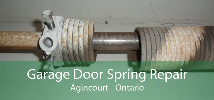 Garage Door Spring Repair Agincourt - Ontario