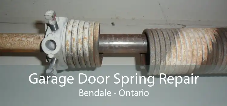 Garage Door Spring Repair Bendale - Ontario