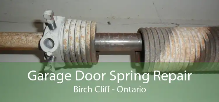 Garage Door Spring Repair Birch Cliff - Ontario