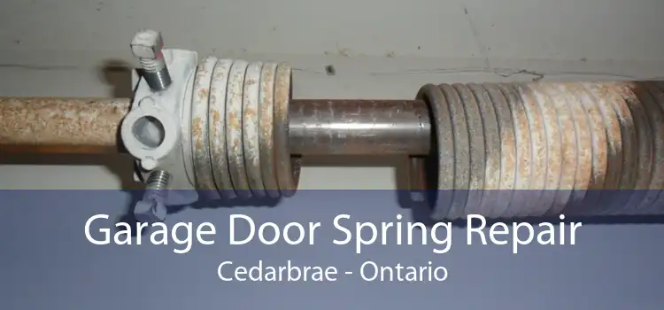 Garage Door Spring Repair Cedarbrae - Ontario