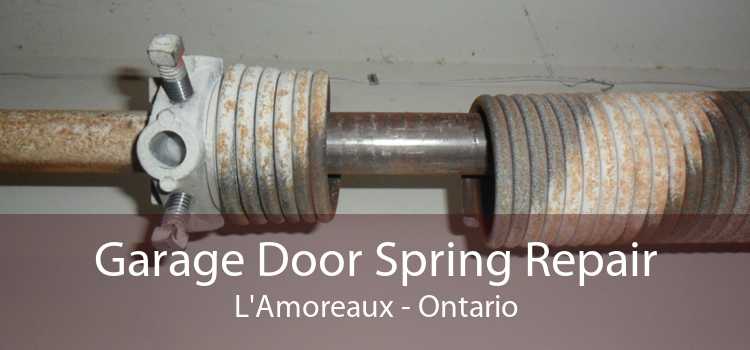 Garage Door Spring Repair L'Amoreaux - Ontario