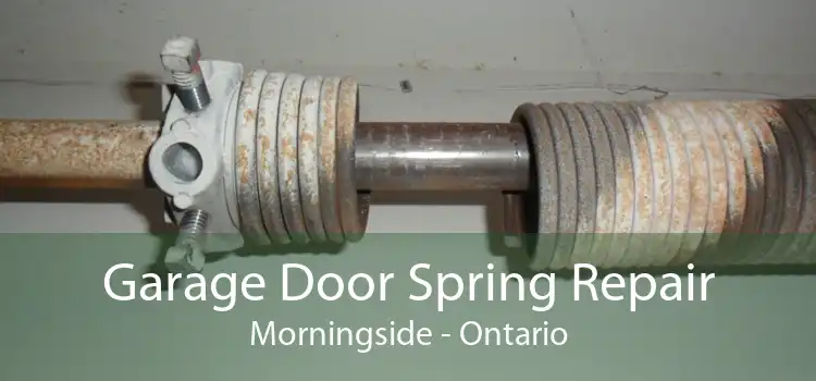 Garage Door Spring Repair Morningside - Ontario