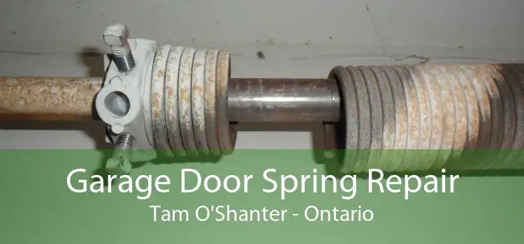 Garage Door Spring Repair Tam O'Shanter - Ontario