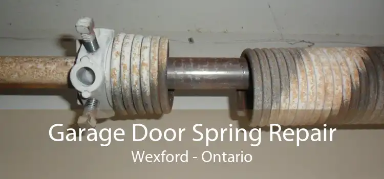 Garage Door Spring Repair Wexford - Ontario