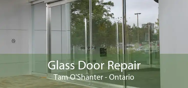 Glass Door Repair Tam O'Shanter - Ontario