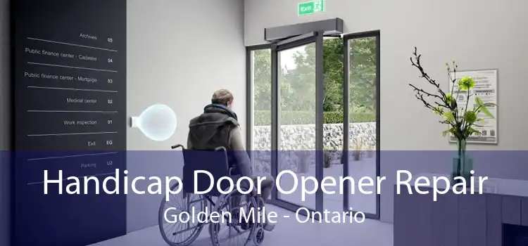 Handicap Door Opener Repair Golden Mile - Ontario