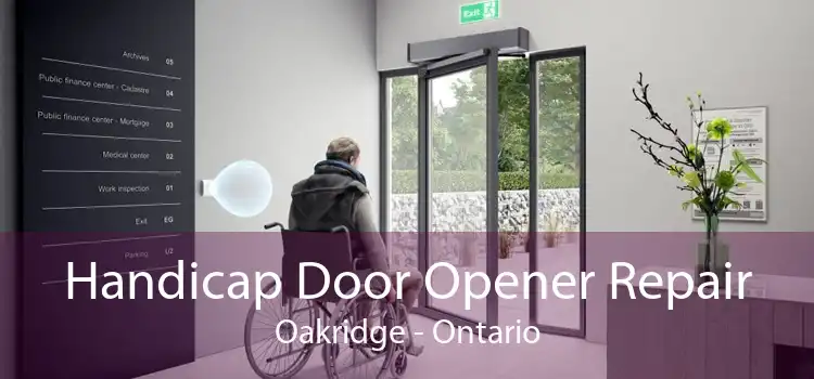 Handicap Door Opener Repair Oakridge - Ontario