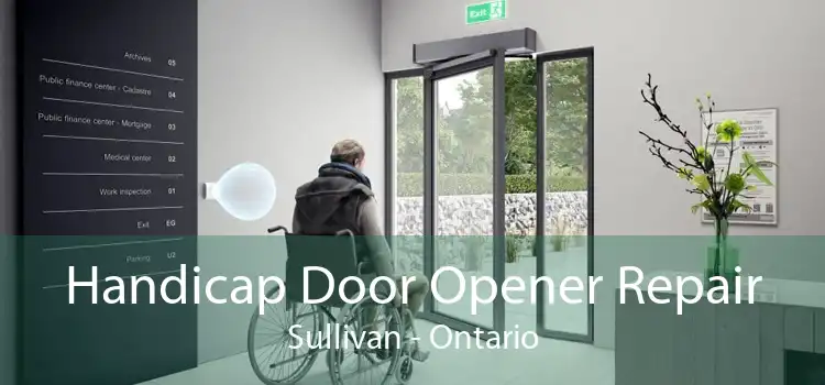 Handicap Door Opener Repair Sullivan - Ontario