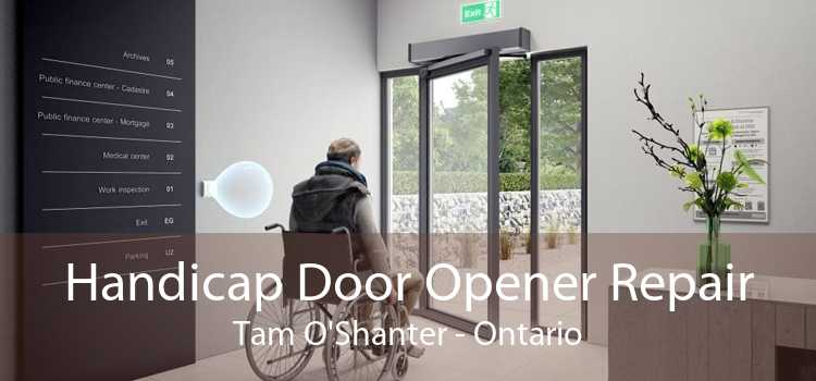Handicap Door Opener Repair Tam O'Shanter - Ontario