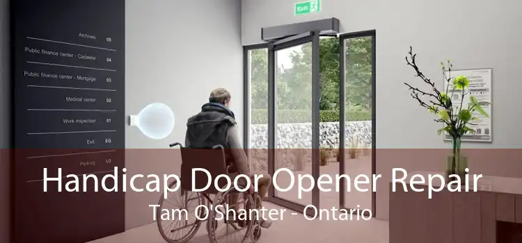 Handicap Door Opener Repair Tam O'Shanter - Ontario