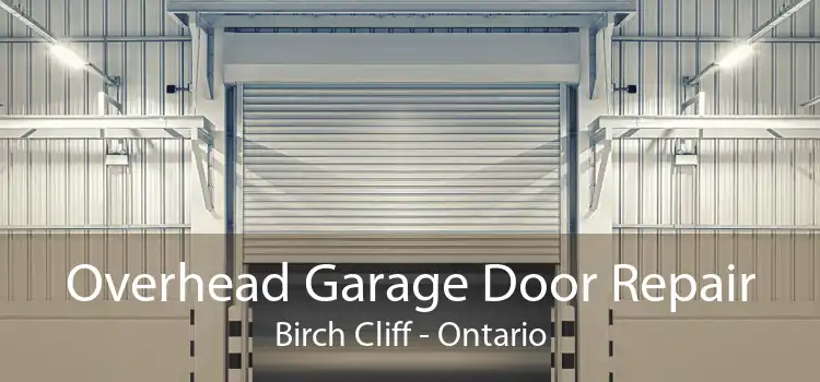 Overhead Garage Door Repair Birch Cliff - Ontario