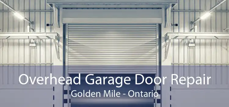 Overhead Garage Door Repair Golden Mile - Ontario