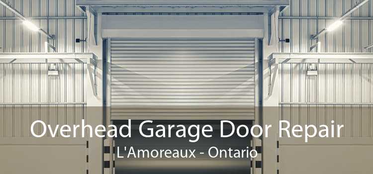 Overhead Garage Door Repair L'Amoreaux - Ontario