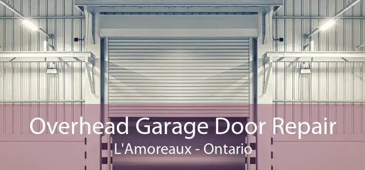 Overhead Garage Door Repair L'Amoreaux - Ontario