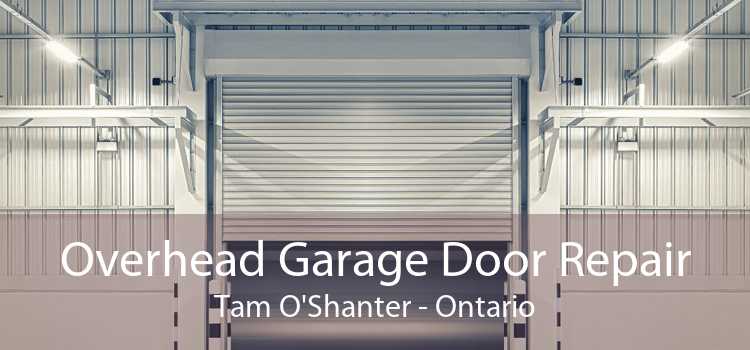 Overhead Garage Door Repair Tam O'Shanter - Ontario