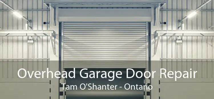 Overhead Garage Door Repair Tam O'Shanter - Ontario