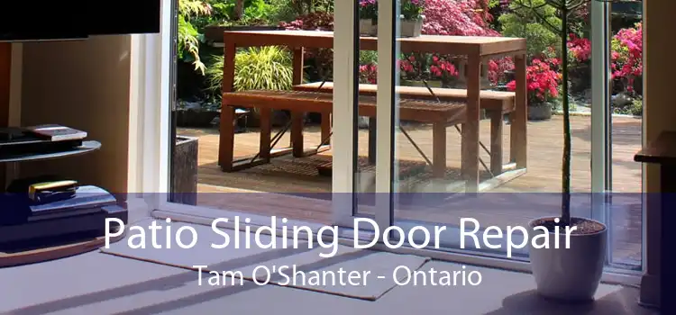 Patio Sliding Door Repair Tam O'Shanter - Ontario