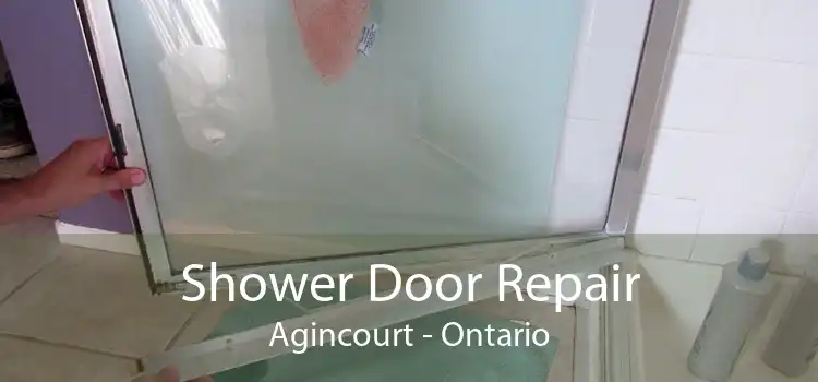 Shower Door Repair Agincourt - Ontario