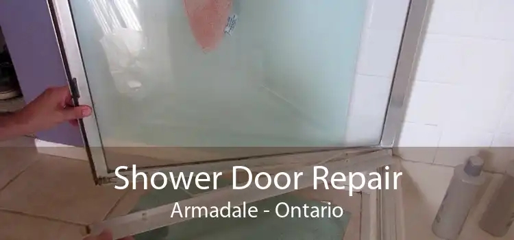 Shower Door Repair Armadale - Ontario