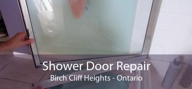Shower Door Repair Birch Cliff Heights - Ontario
