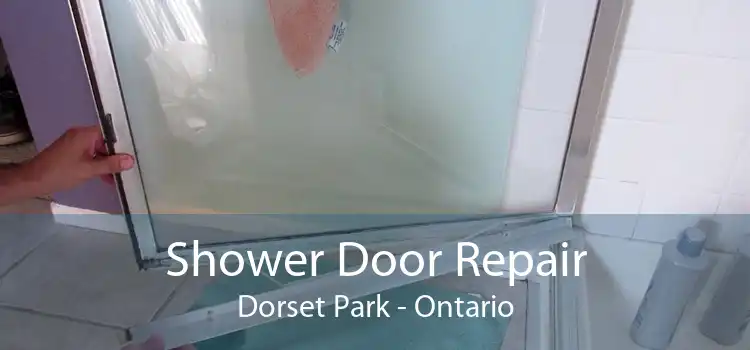 Shower Door Repair Dorset Park - Ontario